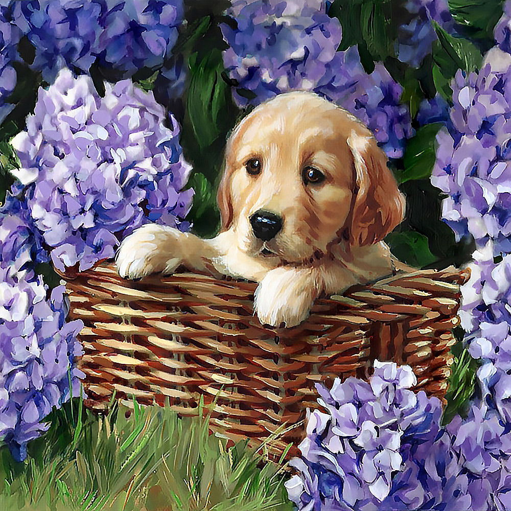 Golden puppy in a basket of hydrangeas cross stitch kit for beginners