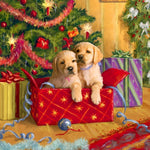 Golden retriever puppies in a christmas box paint by numbers kit for beginners