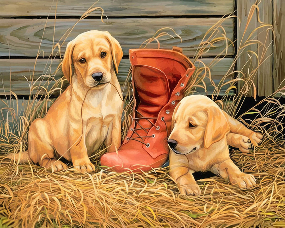 Golden retriever puppies with red boot paint by numbers kit for beginners