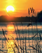 Golden sunset reeds silhouette cross stitch kit for beginners