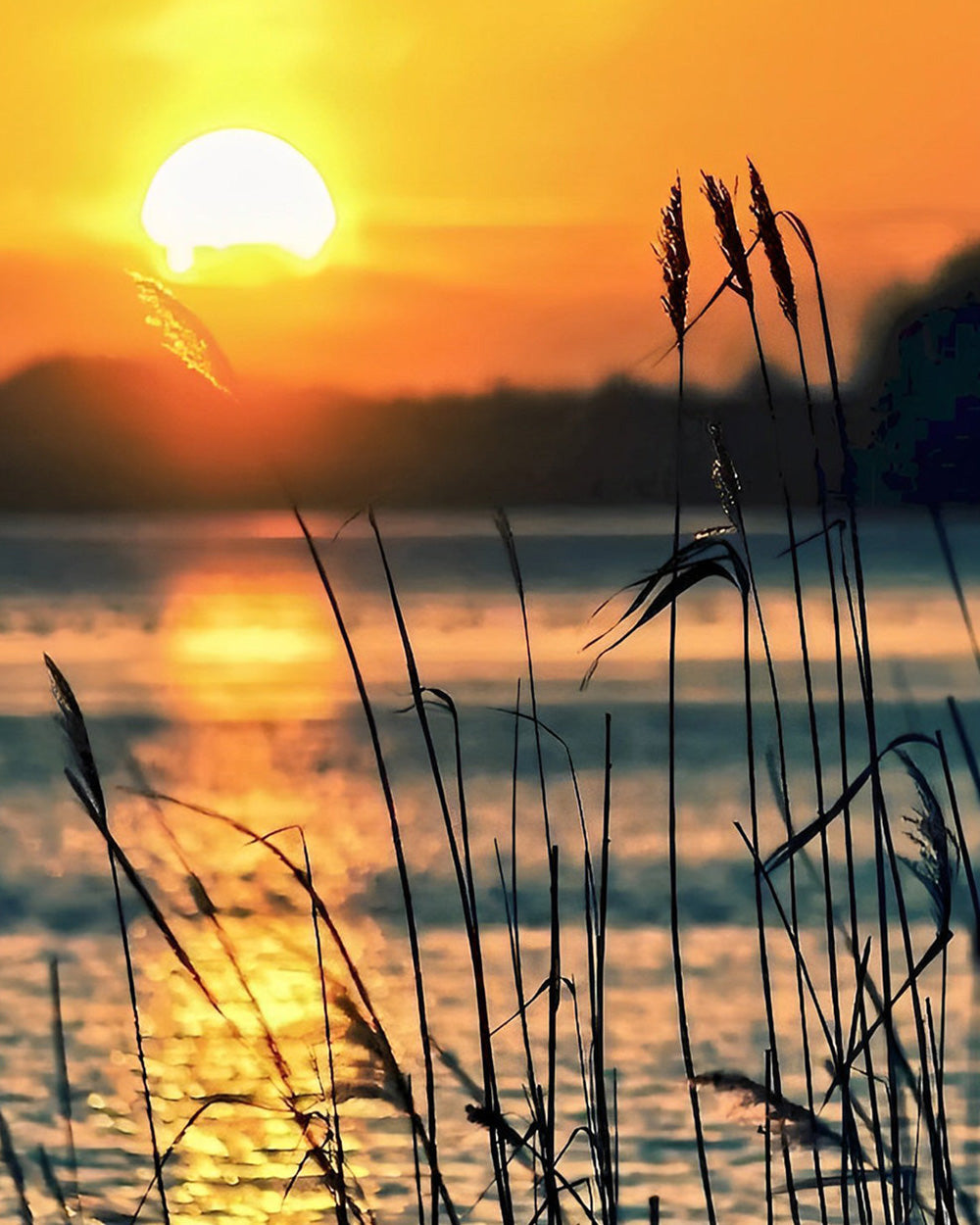 Golden sunset reeds silhouette cross stitch kit for beginners