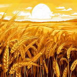 Golden wheat field at sunset cross stitch kit for beginners