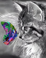 Grey cat with a colourful butterfly cross stitch kit for beginners