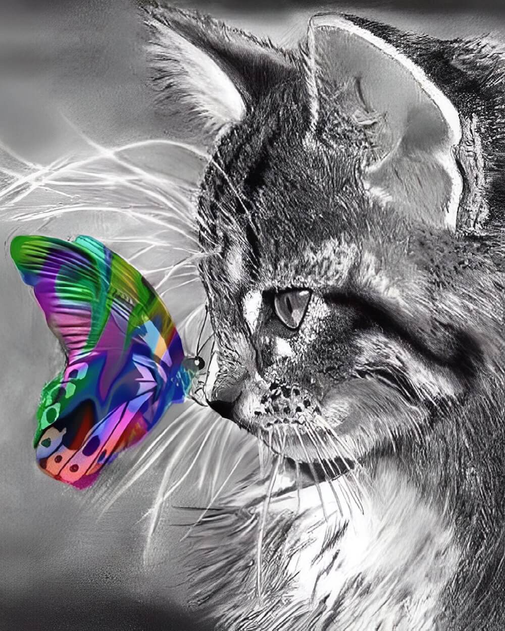 Grey cat with a colourful butterfly cross stitch kit for beginners
