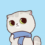 Grey cat with blue scarf cross stitch kit for beginners