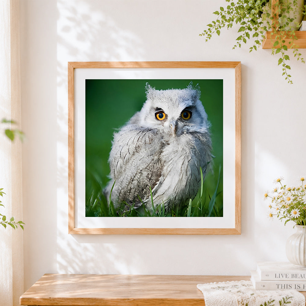 Finished grey owl sitting in grass cross stitch artwork displayed
