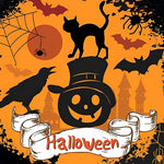 Halloween black cat and pumpkin paint by numbers kit for beginners