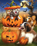 Happy cats, dogs and halloween pumpkins cross stitch kit for beginners