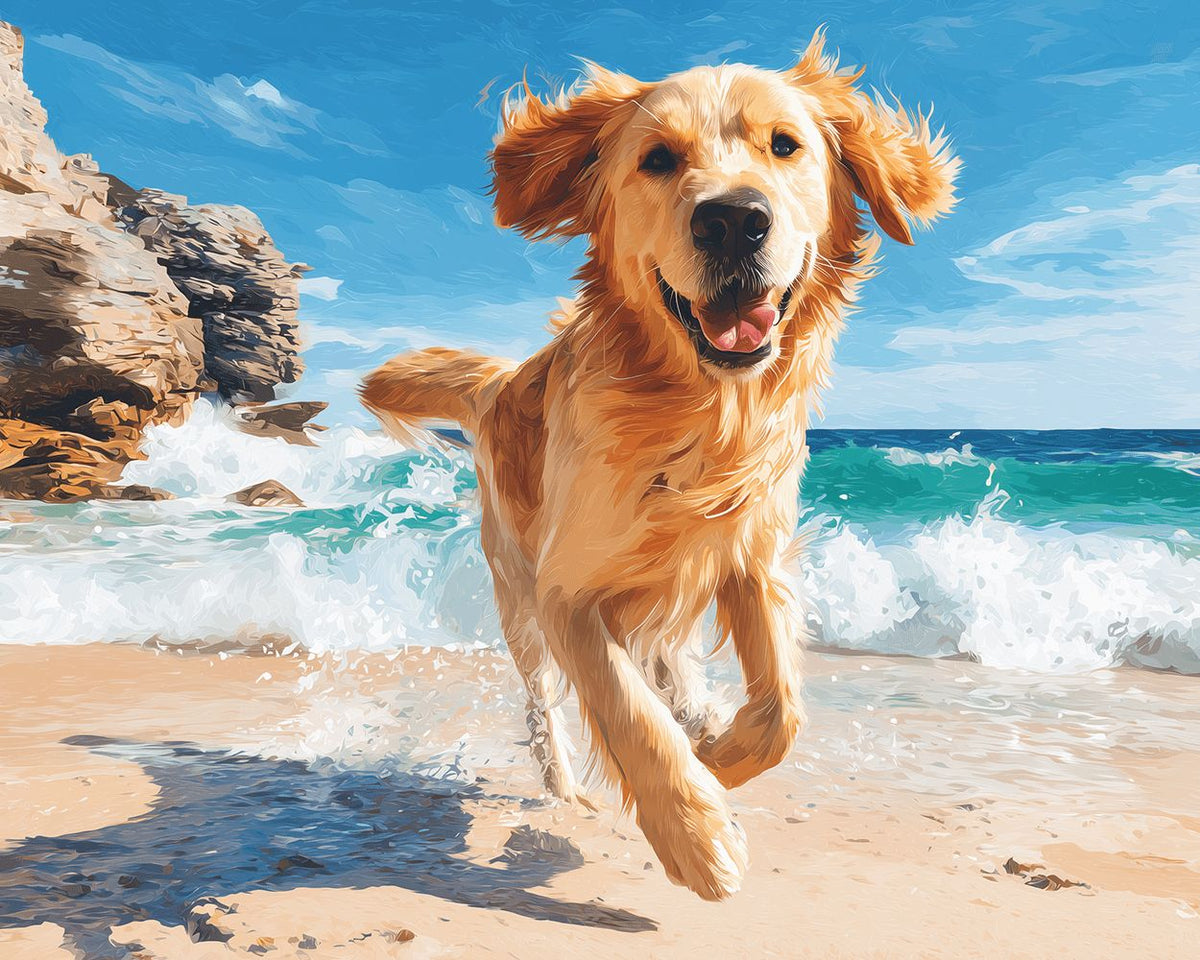 Happy golden retriever running on the beach cross stitch kit for beginners