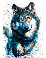 Happy watercolour wolf paint by numbers kit for beginners