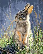 Hare in grass cross stitch kit for beginners