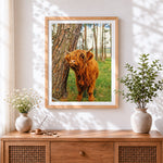 Finished highland cow by a tree cross stitch artwork displayed