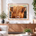 Finished highland cow close up paint by numbers artwork displayed as home decor