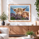 Finished highland cow in purple heather cross stitch artwork displayed