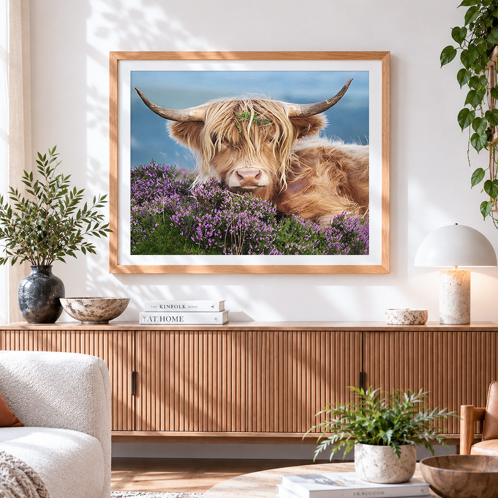 Finished highland cow in purple heather cross stitch artwork displayed