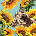 Highland cow surrounded by sunflowers cross stitch kit for beginners