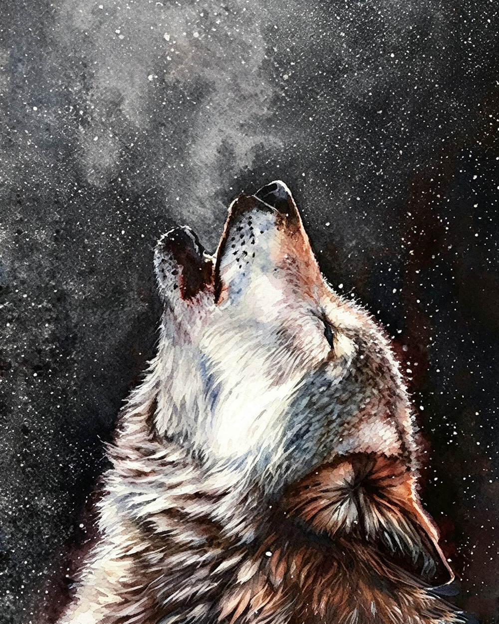 Howling wolf in a starry night paint by numbers kit for beginners