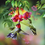 Hummingbirds and trumpet flowers cross stitch kit for beginners