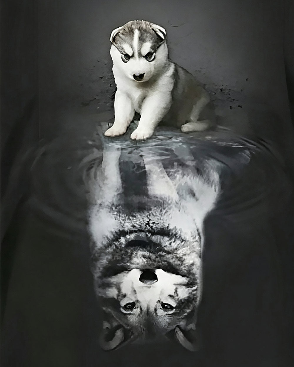 Husky puppy and reflection paint by numbers kit for beginners