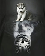 Husky puppy and reflection paint by numbers kit for beginners