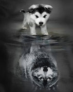 Husky puppy water reflection cross stitch kit for beginners