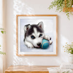 Finished husky puppy with a ball cross stitch artwork displayed