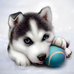 Husky puppy with a ball cross stitch kit for beginners