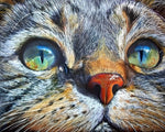 Hyper-realistic tabby cat portrait cross stitch kit for beginners