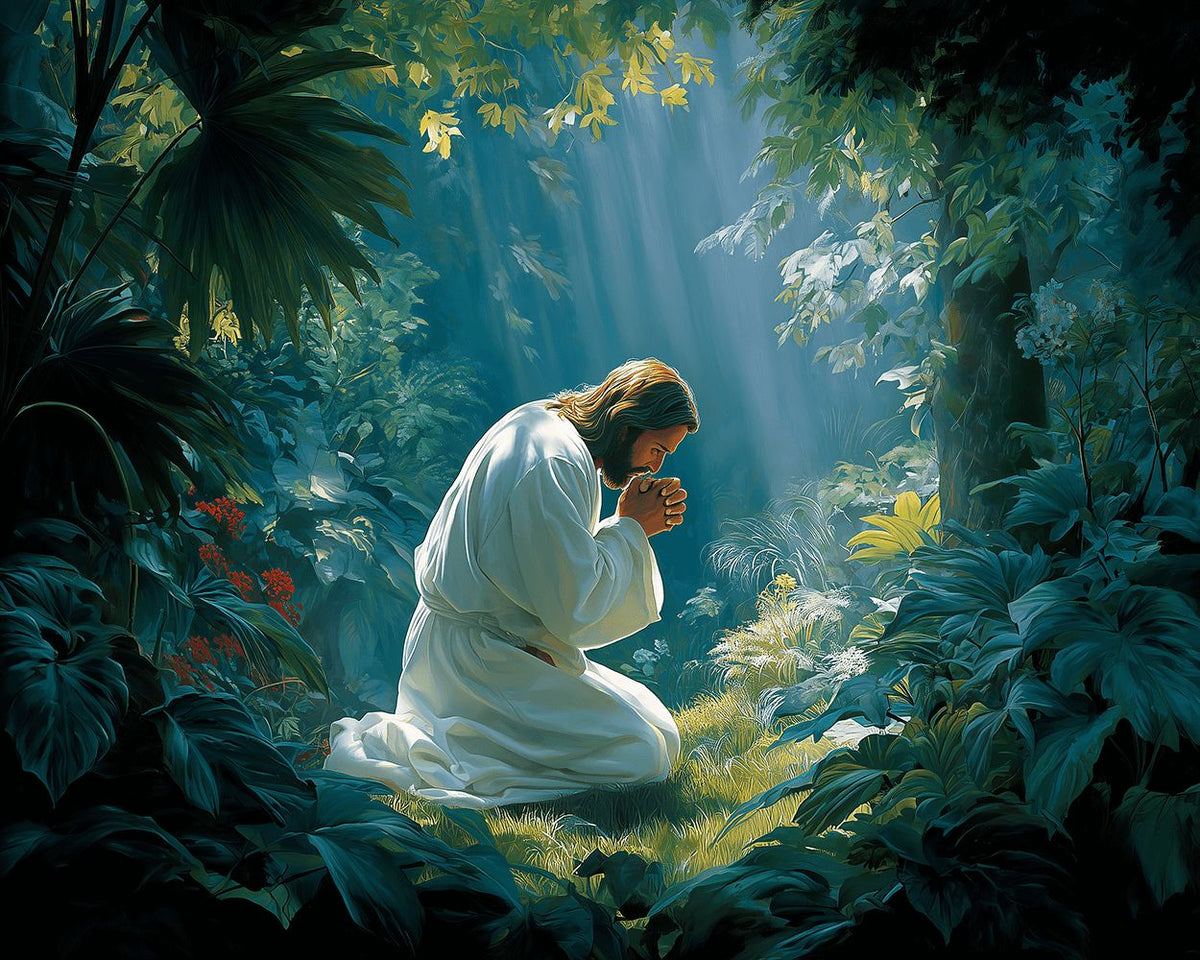 Jesus praying in forest paint by numbers kit for beginners