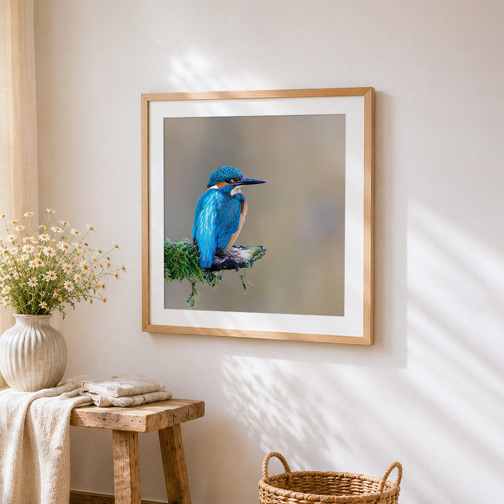 Kingfisher bird on branch cross stitch artwork displayed on wall as home decor