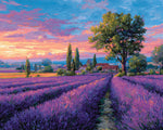 Lavender field at sunset paint by numbers kit for beginners
