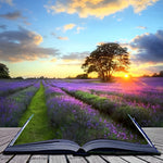 Lavender field in a book cross stitch kit for beginners