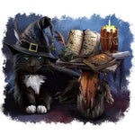 Magical black cat with spell book cross stitch kit for beginners