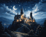Magical castle under a starry night paint by numbers kit for beginners
