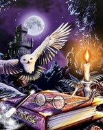 Magical owl wand and spellbook paint by numbers kit for beginners