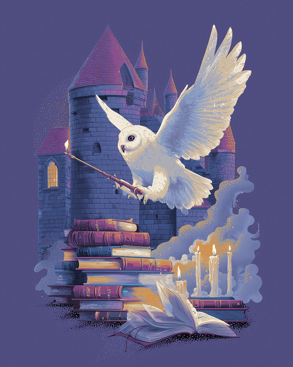 Magical owl with wand and castle cross stitch kit for beginners