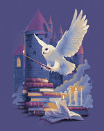 Magical owl with wand and castle cross stitch kit for beginners