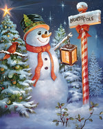 Magical snowman with lantern cross stitch kit for beginners