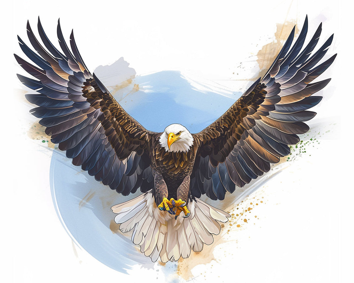 Majestic bald eagle with wings spread paint by numbers kit for beginners