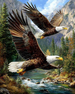 Majestic bald eagles in flight cross stitch kit for beginners