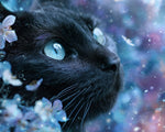 Majestic black cat with blue eyes cross stitch kit for beginners