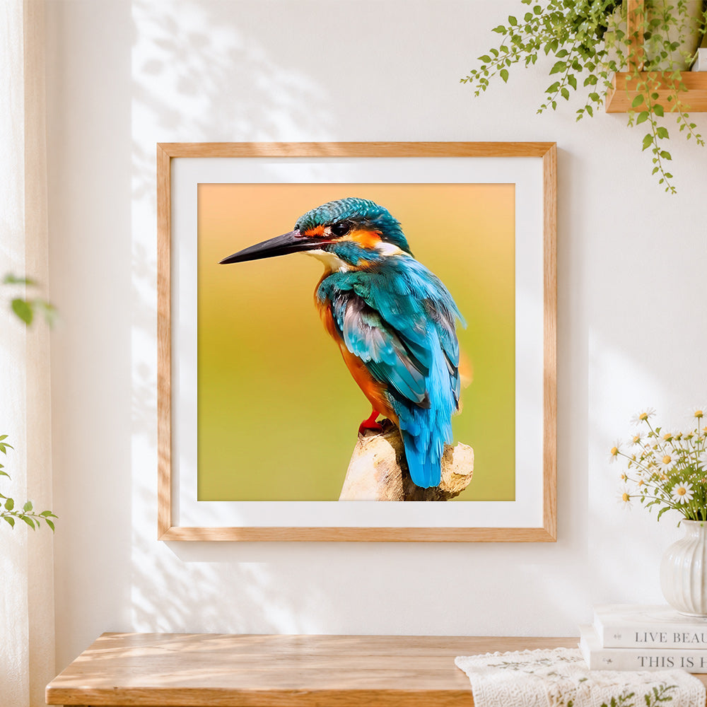 Finished majestic kingfisher on a branch cross stitch artwork displayed