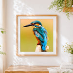 Finished majestic kingfisher on a branch paint by numbers artwork displayed as home decor