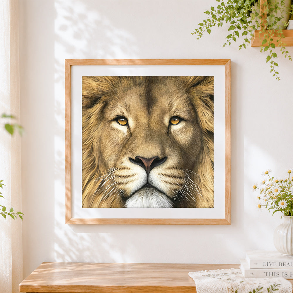 Finished majestic lion face close up paint by numbers artwork displayed as home decor