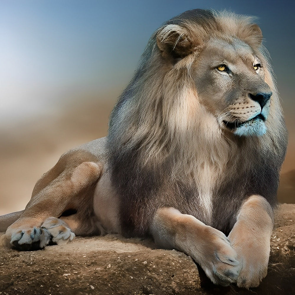 Majestic lion resting cross stitch kit for beginners