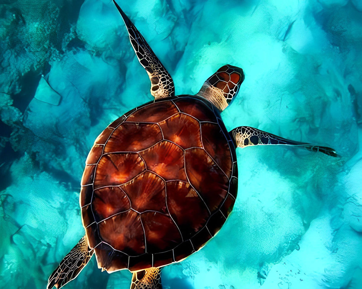 Majestic sea turtle underwater paint by numbers kit for beginners