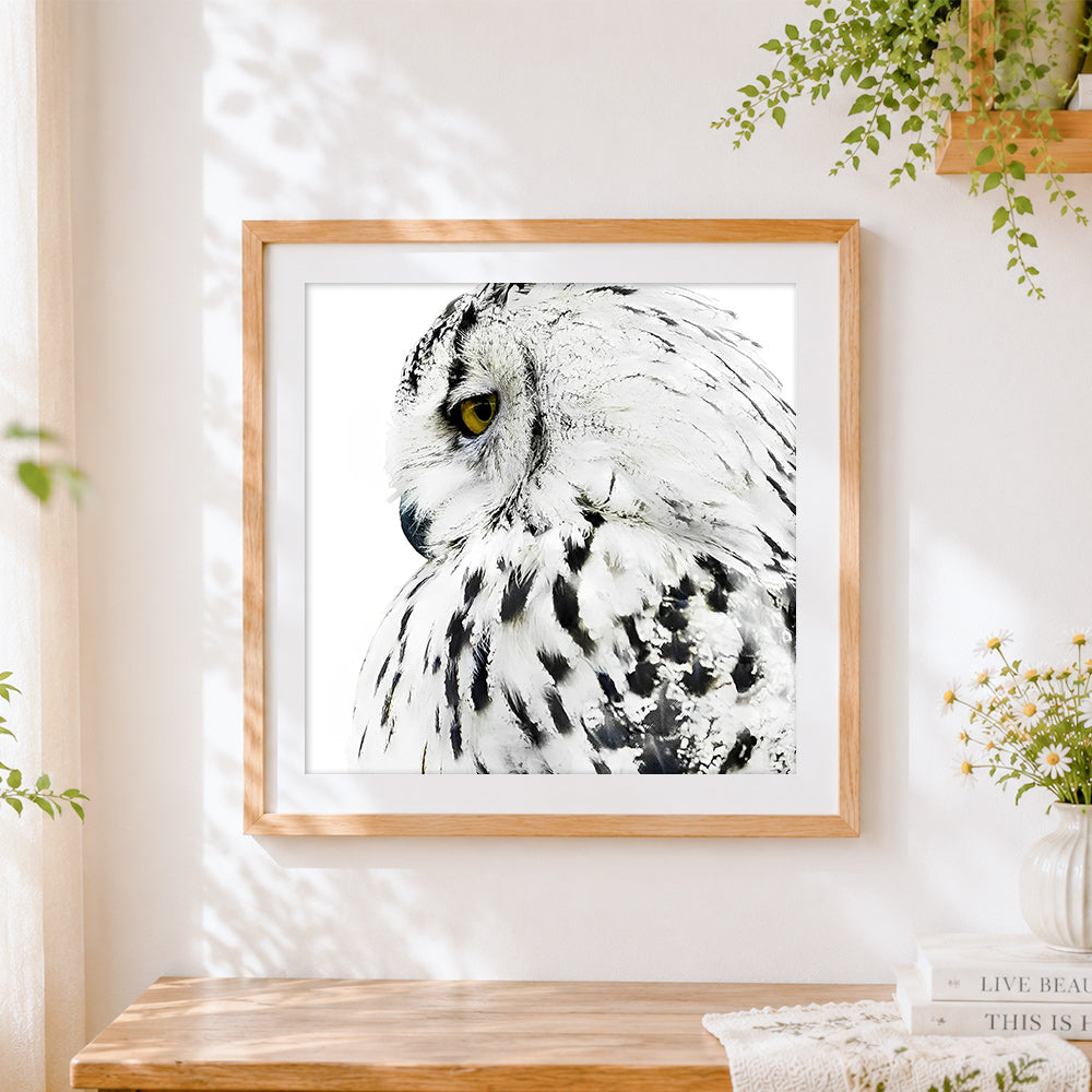 Finished majestic snowy owl close-up paint by numbers artwork displayed as home decor