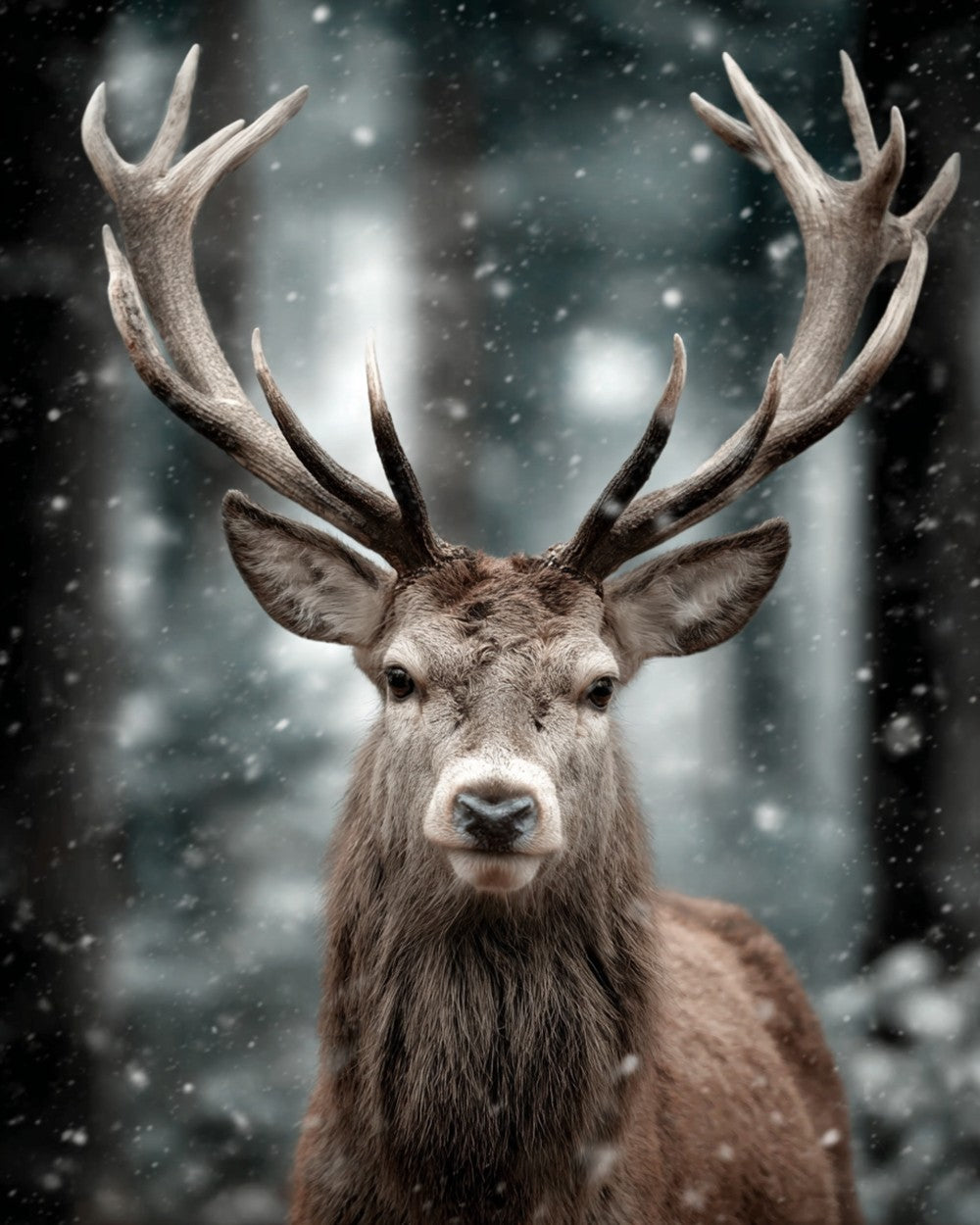 Majestic stag in winter snowfall paint by numbers kit for beginners