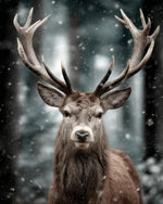Majestic stag in winter snowfall paint by numbers kit for beginners