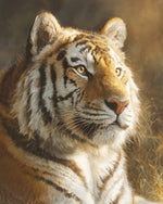 Majestic tiger portrait cross stitch kit for beginners